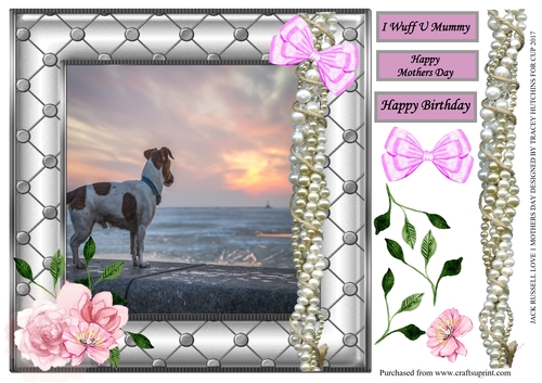 JACK RUSSELL MOTHERS DAY / BIRTHDAY 1