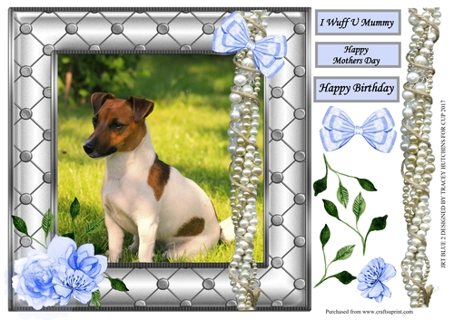 JACK RUSSELL MOTHERS DAY / BIRTHDAY 2