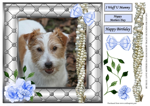 JACK RUSSELL MOTHERS DAY / BIRTHDAY 4