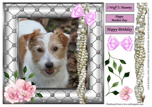 JACK RUSSELL MOTHERS DAY / BIRTHDAY 5
