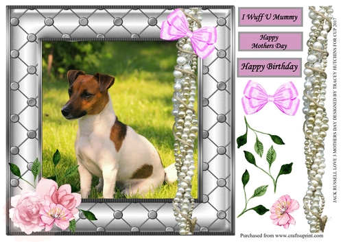 JACK RUSSELL MOTHERS DAY / BIRTHDAY 6