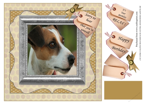 JACK RUSSELL BIRTHDAY / GET WELL
