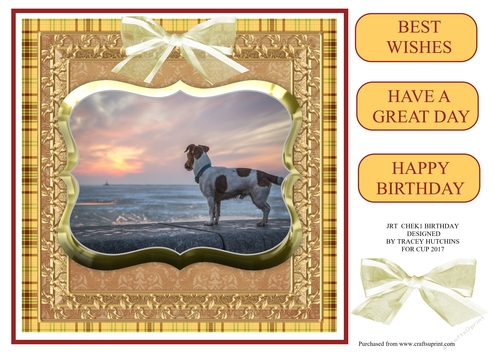 JACK RUSSELL BIRTHDAY CHECK 1