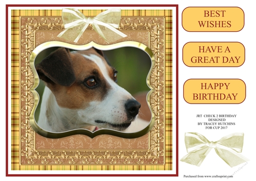 JACK RUSSELL BIRTHDAY CHECK 2