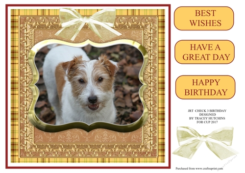 JACK RUSSELL BIRTHDAY CHECK 3