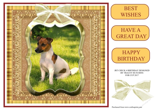JACK RUSSELL BIRTHDAY CHECK 4