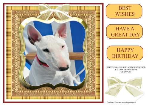 WHITE ENGLISH BULL TERRIER