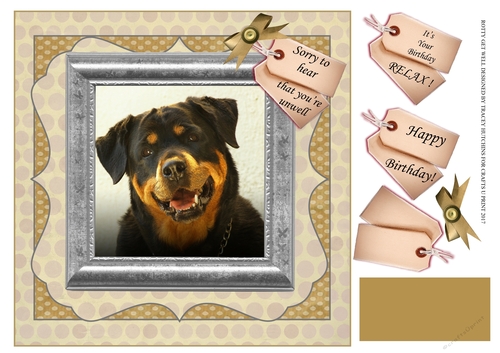 ROTTWEILER GET WELL /BIRTHDAY