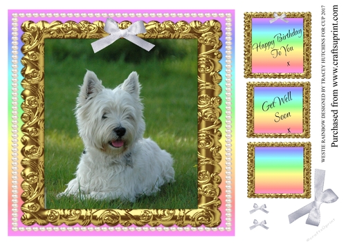WESTIE RAINBOW BIRTHDAY / GET WELL