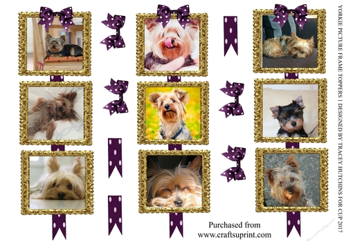 YORKIE PICTURE FRAME TOPPERS X 3 ANY OCCASION