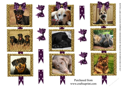 ROTTIE LABS ALSATIAN PICTURE FRAME TOPPERS X 3 ANY OCCASION