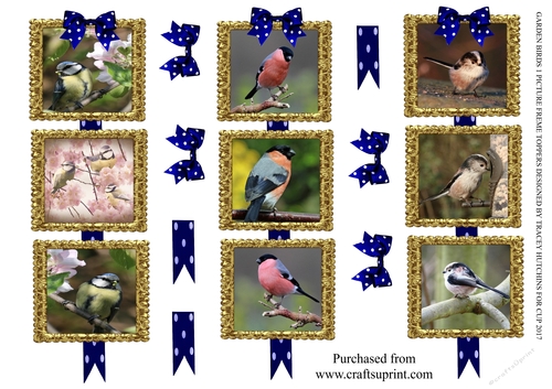 GARDEN BIRDS 1 PICTURE FRAME TOPPERS X 3 ANY OCCASION