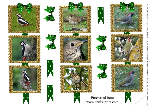 WOOD PECKER & SONG THRUSH PICTURE FRAME TOPPERS X 3 ANY OCCASION