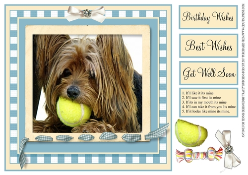 ANYONE FOR TENNIS YORKIE