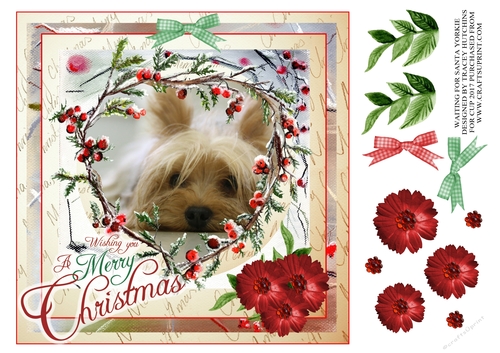 WAITING FOR SANTA YORKIE
