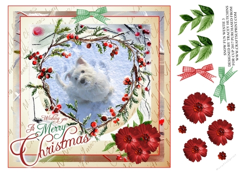 SNOW FUN WESTIE 3