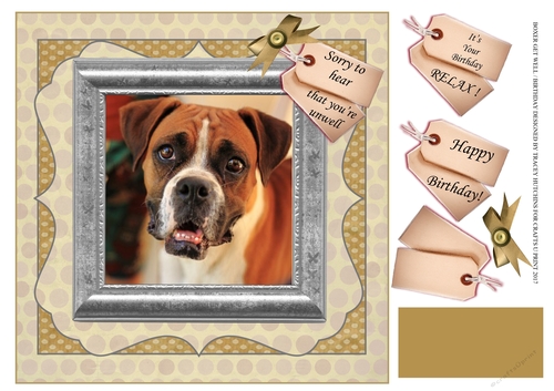 BOXER GET WELL - BIRTHDAY