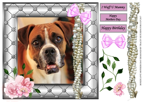 BOXER LOVE BIRTHDAY MOTHERS DAY