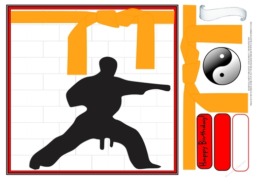 MARTIAL ARTS BIRTHDAY ORANGE BELT