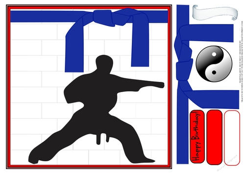 MARTIAL ARTS BIRTHDAY BLUE BELT