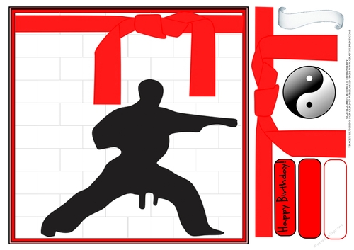 MARTIAL ARTS BIRTHDAY RED BELT