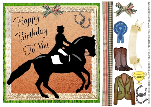 DRESSAGE HORSE SHOW  BIRTHDAY