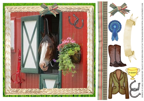 HORSE IN STABLE ANY OCCASION