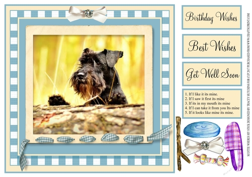 SCOTTIE DOG - BIRTHDAY -GET WELL-BEST WISHES