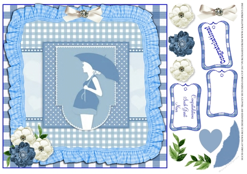 PREGNANCY CONGRATULATIONS - BLUE