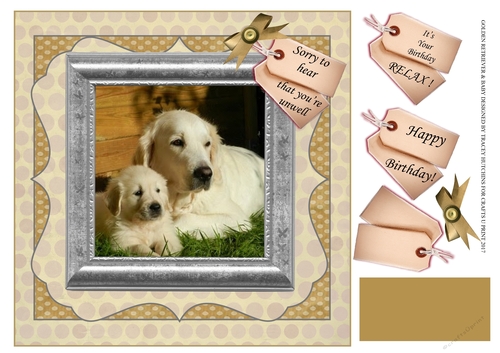 GOLDEN RETRIEVER AND PUP - GET WELL & VARIOUS SENTIMENTS