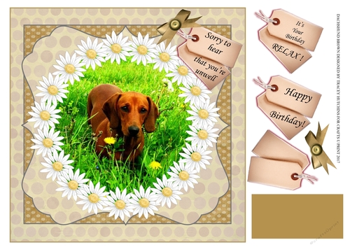 DACHSHUND BROWN - GET WELL - BIRTHDAY VARIOUS