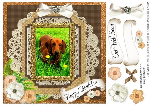 VINTAGE DACHSHUND BROWN BIRTHDAY VARIOUS