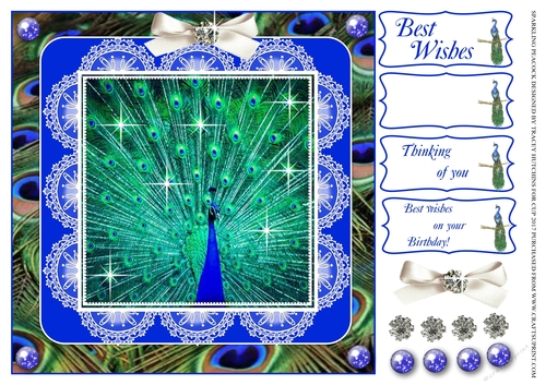 SPARKLING PEACOCK BIRTHDAY AND OTHER SENTIMENTS