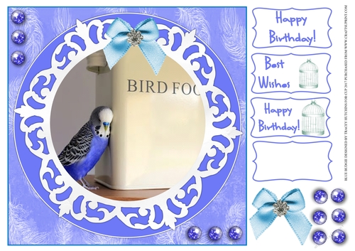 BLUE BUDGIE, BIRTHDAY AND OTHER SENTIMENTS