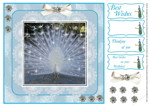 SPARKLING WHITE PEACOCK BIRTHDAY AND OTHER SENTIMENTS