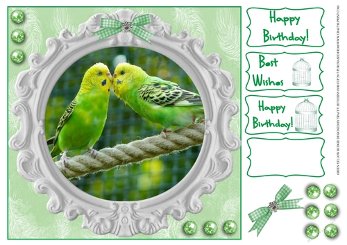 BUDGIE YELLOW / GREEN BIRTHDAY AND OTHER SENTIMENTS