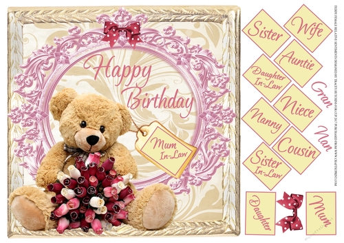 TEDDY FEMALE RELATIVES BIRTHDAY