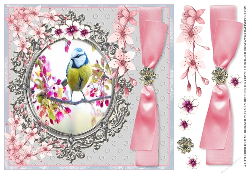 BLUE TIT IN BLOSSOM - ANY OCCASION 