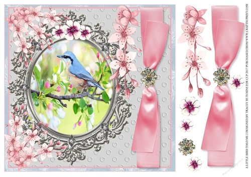 NUTHATCH TREE CREEPER IN BLOSSOM - ANY OCCASION 
