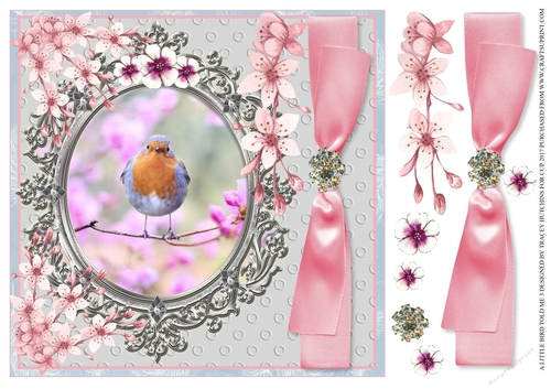 ROBIN IN BLOSSOM - ANY OCCASION 