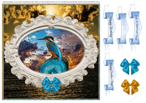 KINGFISHER AT SUNSET BIRTHDAY / FATHERS DAY / BLANK SENTIMENTS