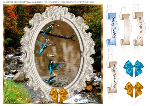 KINGFISHERS BIRTHDAY / FATHERS DAY / BLANK SENTIMENTS