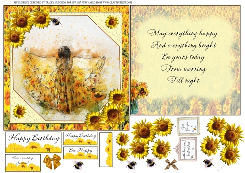 SUNFLOWERS NEW FULL 6x6 CARD CONCEPT SHEET BIRTHDAY/ANY