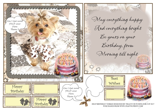 CAN I GET SOME HELP OVER HERE BIRTHDAY YORKIE 6X6 CONCEPT CARD