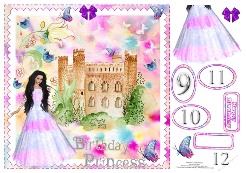 BIRTHDAY PRINCESS AGES 9 10 11 