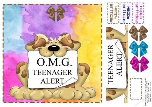OMG TEENAGER ALERT UNISEX