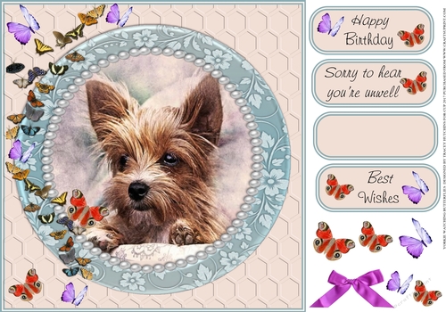 YORKIE WATCHING BUTTERFLIES MULTI SENTIMENT GET WELL BIRTHDAY BEST WISHES