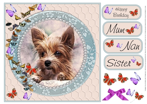 YORKIE WATCHING BUTTERFLIES MUM NAN SISTER BIRTHDAY 