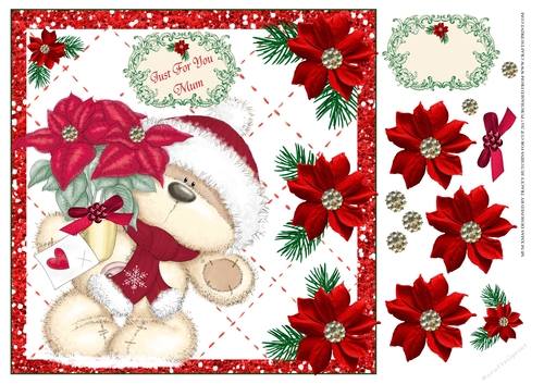 MUM JUST FOR YOU POINSETTIA