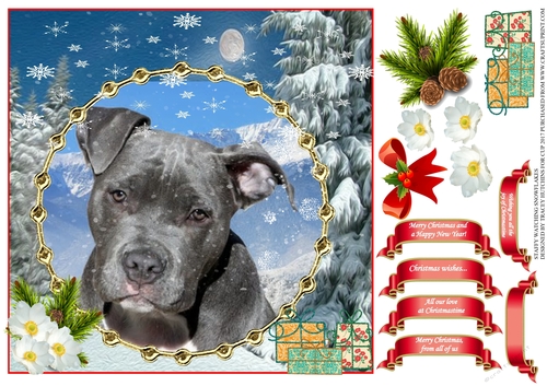 STAFFIE WATCHING SNOWFLAKES MULTI SENTIMENT UNISEX CHRISTMAS